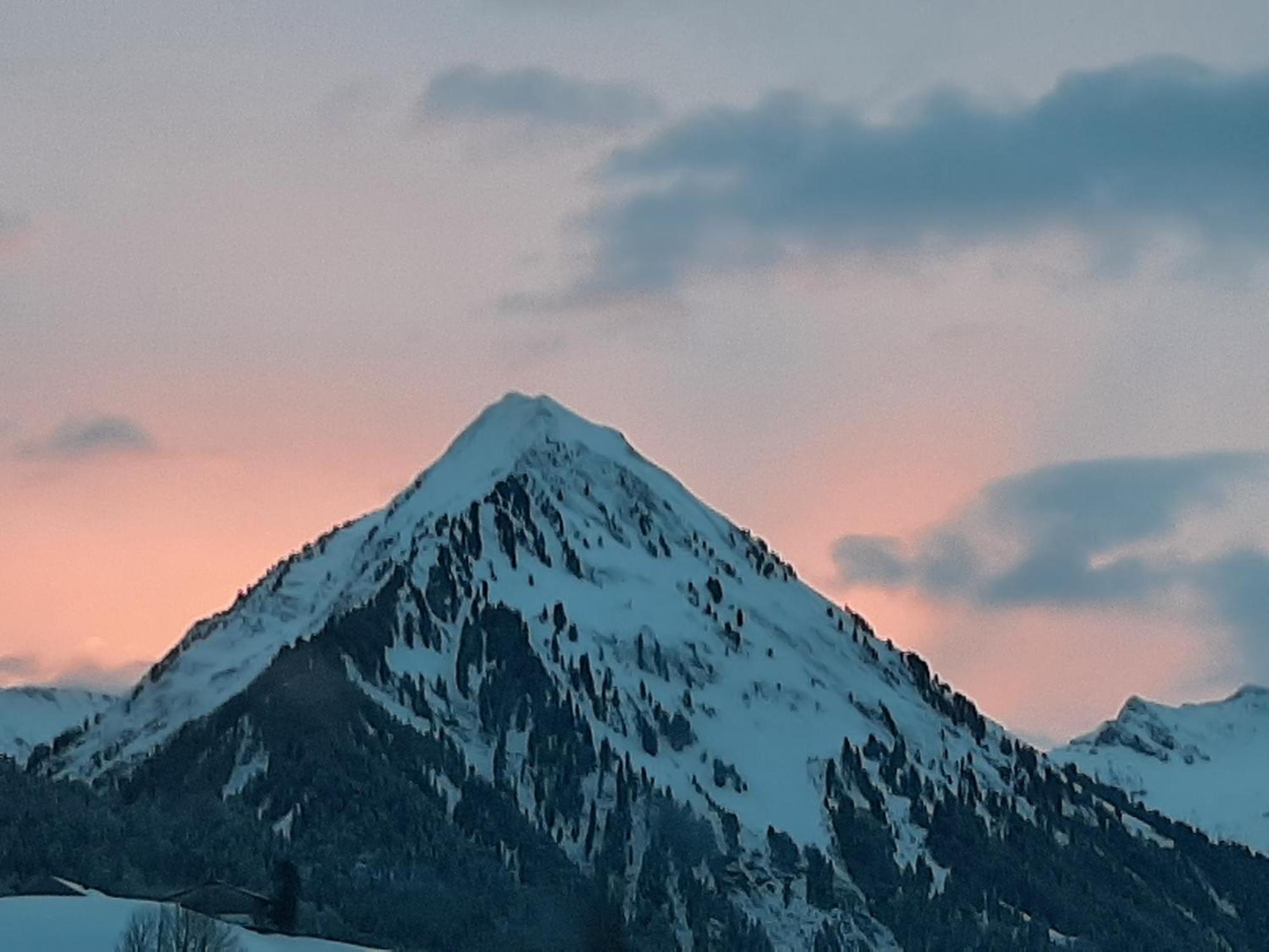 Alpin Chalet Schröcken エクステリア 写真